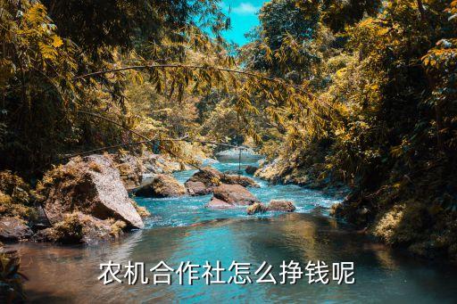 农业合作社怎么盈利，农机合作社怎么挣钱呢