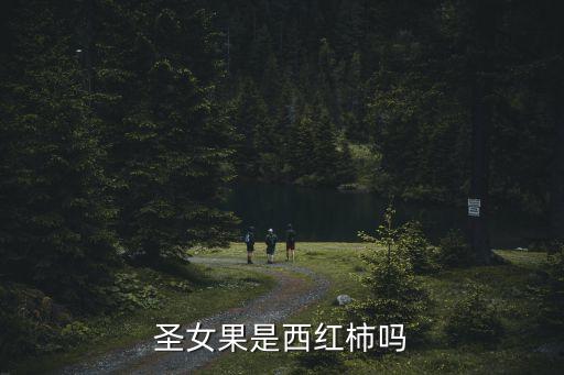 圣女果是小番茄吗，圣女果跟小番茄是一样的吗