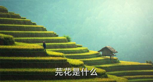芫花是什么
