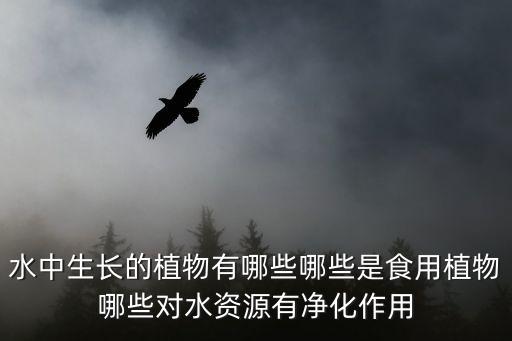 水生植物有哪些，漂浮水生植物有哪些