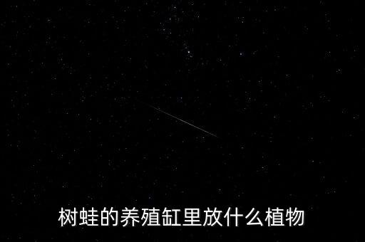 树蛙的养殖缸里放什么植物