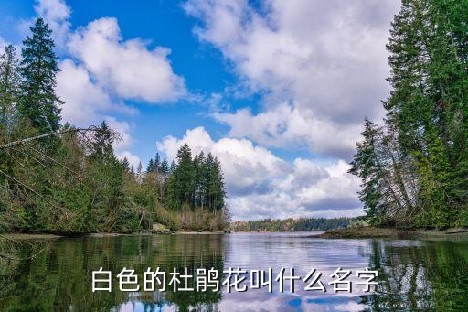 照山白，照山白浸膏片是管什么的