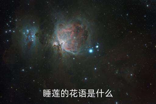 睡莲寓意，睡莲代表什么花语