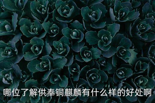 哪位了解供奉铜麒麟有什么样的好处啊