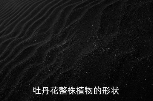牡丹花长什么样，牡丹花的外形特征 急1