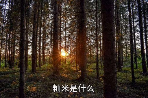 籼稻，籼米是什么