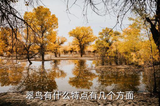 翠鸟的特点是什么，翠鸟有什么特点有几个方面