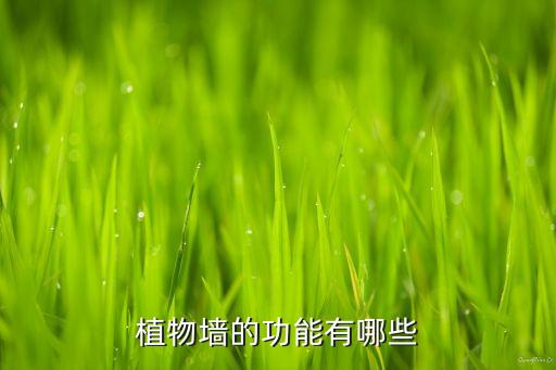 植物墙的功能有哪些