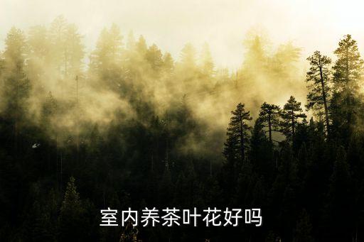 茶叶花，室内养茶叶花好吗