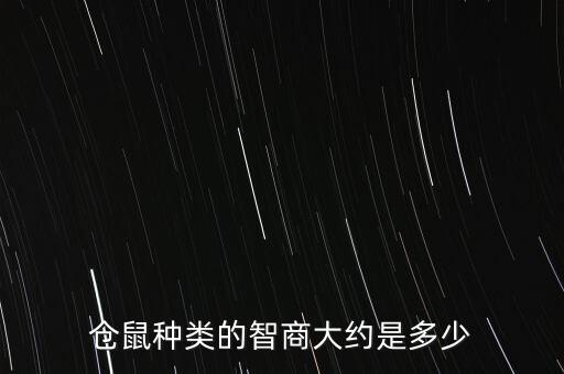 仓鼠的智商，仓鼠的智力相当于多少岁的小孩