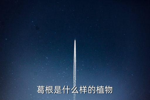 野葛，葛根是什么样的植物
