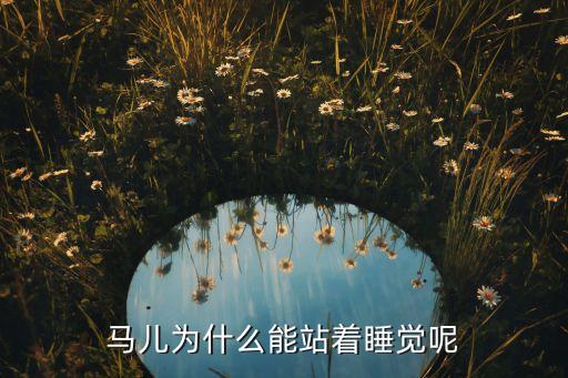 马为什么站着睡觉，马儿为什么能站着睡觉呢