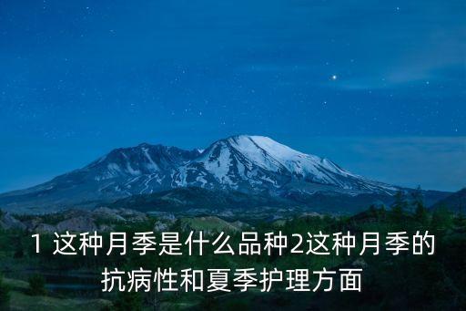 1 这种月季是什么品种2这种月季的抗病性和夏季护理方面