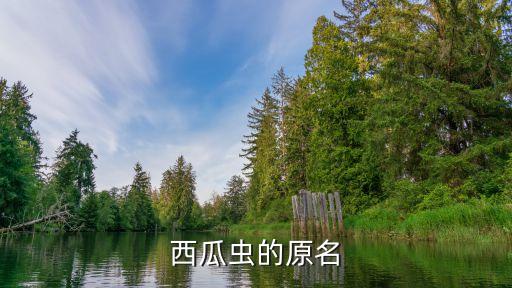 西瓜虫的原名