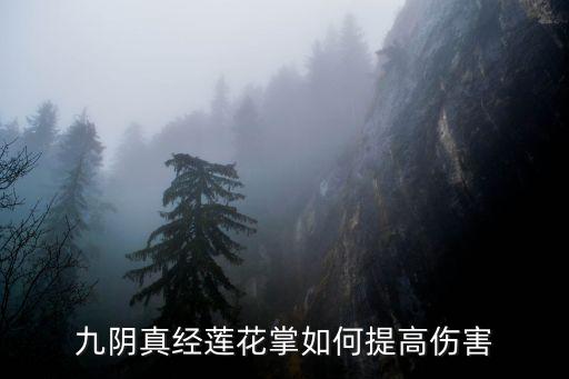 九阴真经莲花掌如何提高伤害