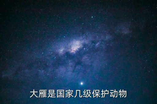 大雁是国家几级保护动物