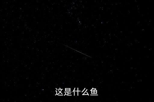 丁桂鱼，这是什么鱼