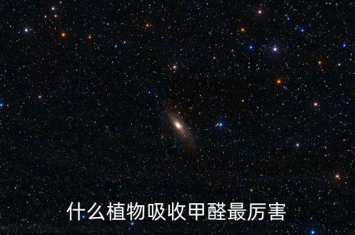 什么植物吸收甲醛最厉害