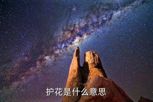 护花是什么意思