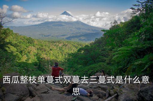 西瓜三蔓整枝图解，什么是三蔓整枝法