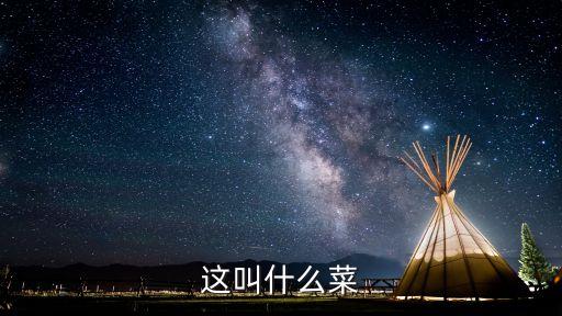 结球生菜，这叫什么菜