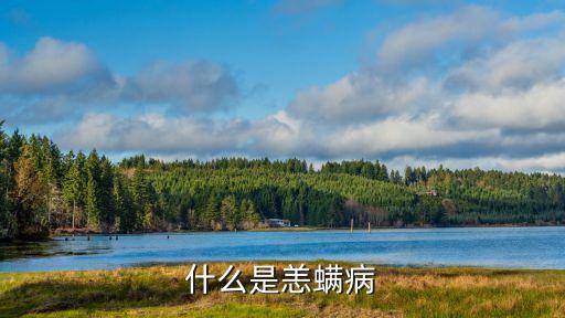 什么是恙螨病