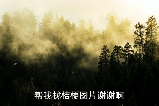 帮我找桔梗图片谢谢啊