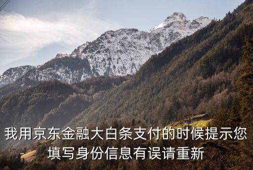 大白条，我用京东金融大白条支付的时候提示您填写身份信息有误请重新