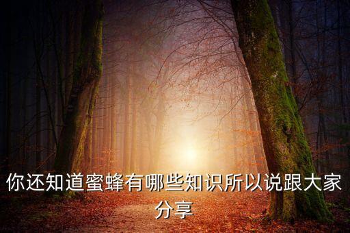 蜜蜂有哪些知识，有关蜜蜂的知识20字