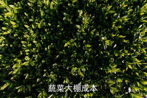 蔬菜大棚成本