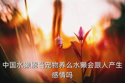 中国水獭能当宠物养么水獭会跟人产生感情吗