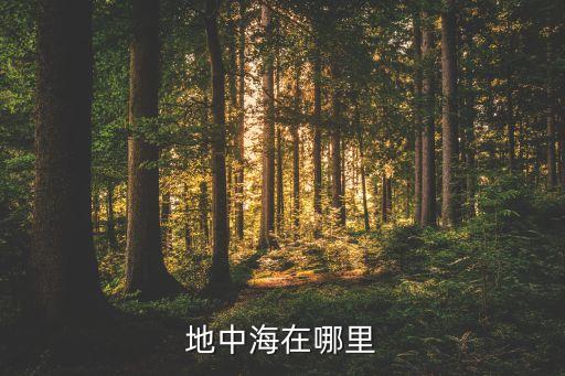 地中海在哪里