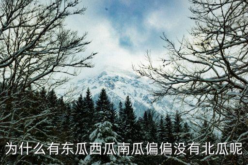 有没有北瓜，东瓜南瓜西瓜有北瓜吗