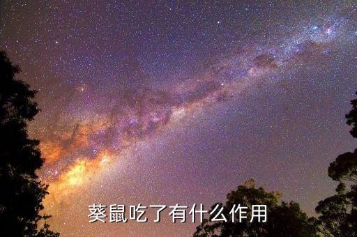 葵鼠吃了有什么作用
