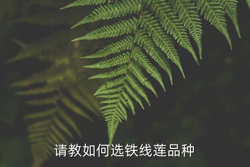 请教如何选铁线莲品种