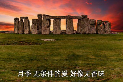 月季 无条件的爱 好像无香味