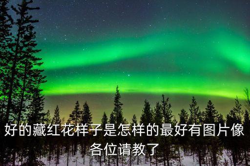 真正的藏红花图片，藏红花在哪里可以买到真的