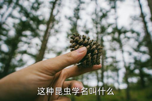棕高脚蛛，被棕高脚蛛咬了不用去医院可以吗