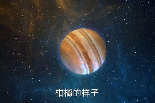 柑橘树，柑树是什么树
