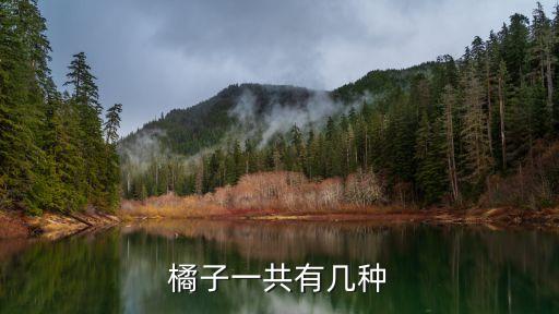 橘子的种类，橘子一共有几种