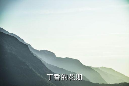 丁香的花期