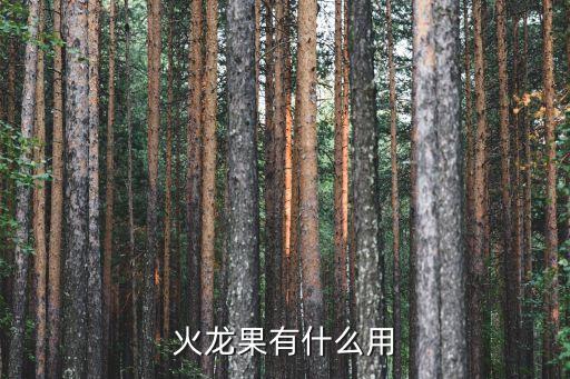 火龙果的作用，火龙果有什么用