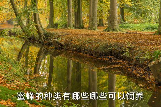 蜜蜂种类图片大全，全世界蜜蜂有多少种类