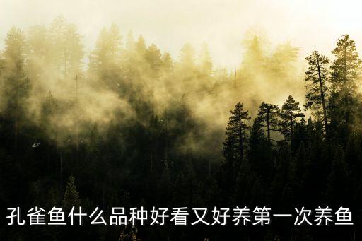 孔雀鱼什么品种好看又好养第一次养鱼