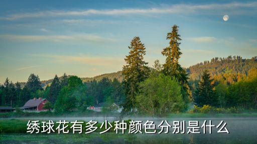 绣球花品种，绣球分哪些种