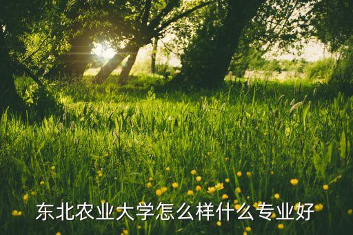 哈尔滨农业大学怎么样，东北农业大学怎么样什么专业好