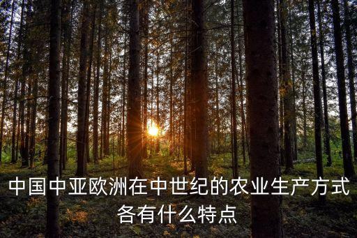 中国中亚欧洲在中世纪的农业生产方式各有什么特点