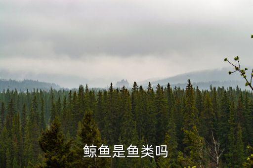 鲸鱼是鱼类吗
