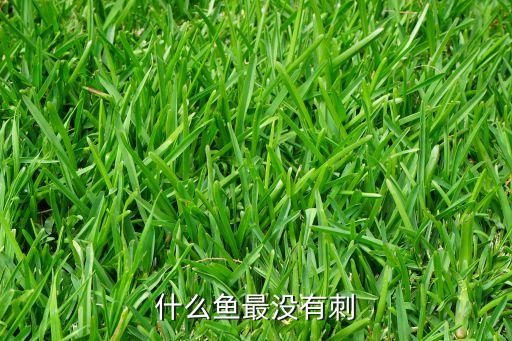 什么鱼最没有刺