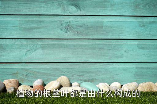 根茎叶，什么是根茎叶